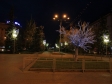 Ночной Волгоград. Волгоград, проспект Ленина. "Светящееся дерево"