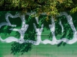 Graffiti of Novosibirsk