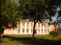Kazan, gymnasium Татарская гимназия №17 им. Г. Ибрагимова, Vosstaniya st, house 48