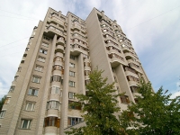 Kazan, Latishskih strelkov st, house 14. Apartment house