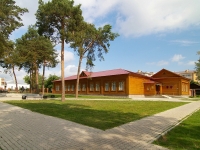 Elabuga, museum уездной медицины им. В.М. Бехтерева, Neftyanikov avenue, house 111А