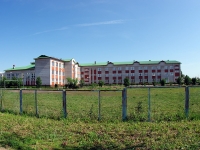 Elabuga, st Proletarskaya, house 28А. gymnasium
