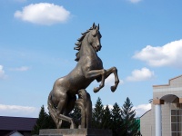 Nurlat, 纪念碑 коню-призёру «Ледок»Karl Marks st, 纪念碑 коню-призёру «Ледок»