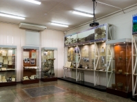 Barnaul, museum Алтайский государственный краеведческий музей, Polzunov st, house 46