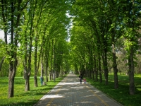 Krasnodar, park им. КосенкоKrasnykh Partizan st, park им. Косенко