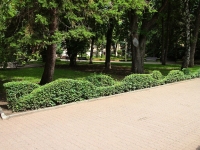 Stavropol, public garden ТеатральныйLenin square, public garden Театральный