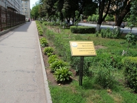 Ставрополь, сквер Аллея ветеранов СтГАУулица Мира, сквер Аллея ветеранов СтГАУ