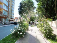 Stavropol, Partizanskaya st, public garden 