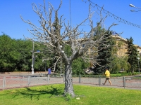 Volgograd, 雕塑 «Светящееся дерево»Lenin avenue, 雕塑 «Светящееся дерево»