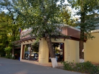 Voronezh, cafe / pub "Вермишель", Revolyutsii avenue, house 10А