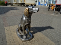 Voronezh, monument Белому БимуRevolyutsii avenue, monument Белому Биму