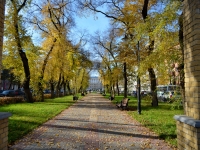 Voronezh, 街心公园 