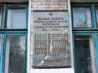 Старая Купавна, школа №22 им. И.И. Назина, улица Большая Московская, дом 22