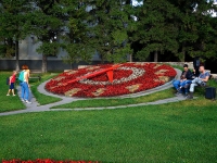 Новосибирск, Цветочные часыКрасный проспект, Цветочные часы