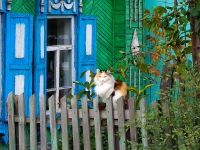 Новосибирск, улица Саратовская, дом 22. индивидуальный дом