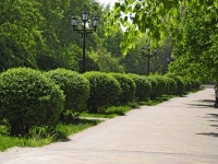 Rostov-on-Don, public garden Аллея розKommunistichesky avenue, public garden Аллея роз