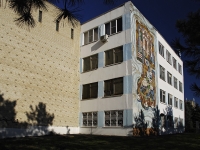 Azov, Nekrasovskiy alley, house 47. office building