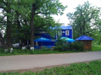 Samara, cafe / pub "Старый филин", Stara-Zagora st, house 202Г