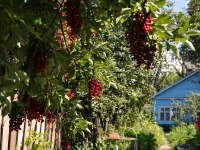 Samara, Br. Korostelevykh st, house 159. Private house