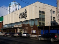 Самара, театр "Союз театральных деятелей", улица Вилоновская, дом 24