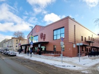 Самара, Театр для детей и молодежи "Мастерская", улица Чернореченская, дом 15