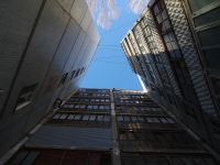 Samara, Novomolodezhny alley, house 1. Apartment house