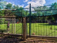 Самара, школа школа-интернат №111, улица Гагарина, дом 78