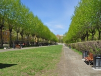 Yekaterinburg, Sedov Ave, public garden 