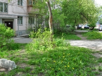 Yekaterinburg, Palmiro Totyatti st, house 26. Apartment house