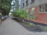 Екатеринбург, общежитие УрФУ, №14, улица Коминтерна, дом 1А