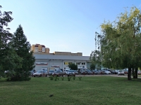 Tambov, st Michurinskaya, house 114Б. automobile dealership