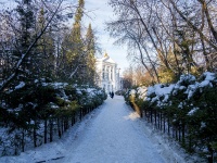 Томск, университет Национальный исследовательский Томский государственный университет (ФГАОУ ВО), Ленина проспект, дом 36