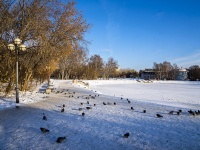 Томск, парк 