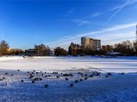 Томск, парк 