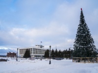 Томск, праздничная площадка Новогодняя ёлка у Белого Домаулица Набережная реки Ушайки, праздничная площадка Новогодняя ёлка у Белого Дома