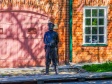Ulyanovsk, Engels st, 雕塑