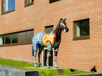 Хамовники район, скульптура Конь 