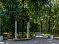 Тимирязевский район, парк 