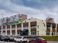 Vasilieostrovsky district,  , 房屋 31 к.1. 多功能建筑