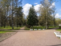 соседний дом: пр-кт. Энгельса. парк "Берёзовый сад"