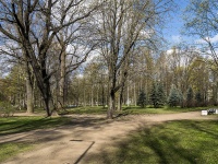 Выборгский район, парк 