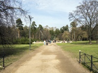 Vyiborgsky district, avenue Svetlanovskij. park