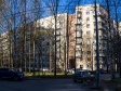 Выборгский район, Художников пр-кт, дом 33 к.1