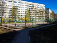 Vyiborgsky district, Hudozhnikov avenue, sports ground 