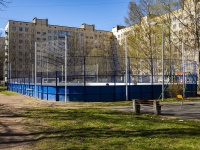 Выборгский район, спортивная площадка Хоккейная коробкаХудожников проспект, спортивная площадка Хоккейная коробка