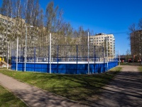 соседний дом: пр-кт. Художников. спортивная площадка Хоккейная коробка