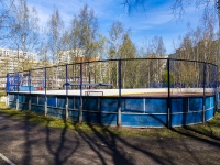 Vyiborgsky district, Хоккейная коробкаKompozitorov st, Хоккейная коробка