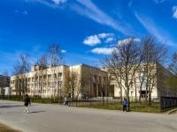 Выборгский район, школа искусств Санкт-Петербургская Детская школа искусств им. Г.В. Свиридова , Просвещения проспект, дом 40