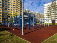 Выборгский район, Просвещения проспект, спортивная площадка 