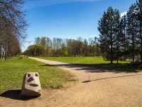 Калининский район, парк 